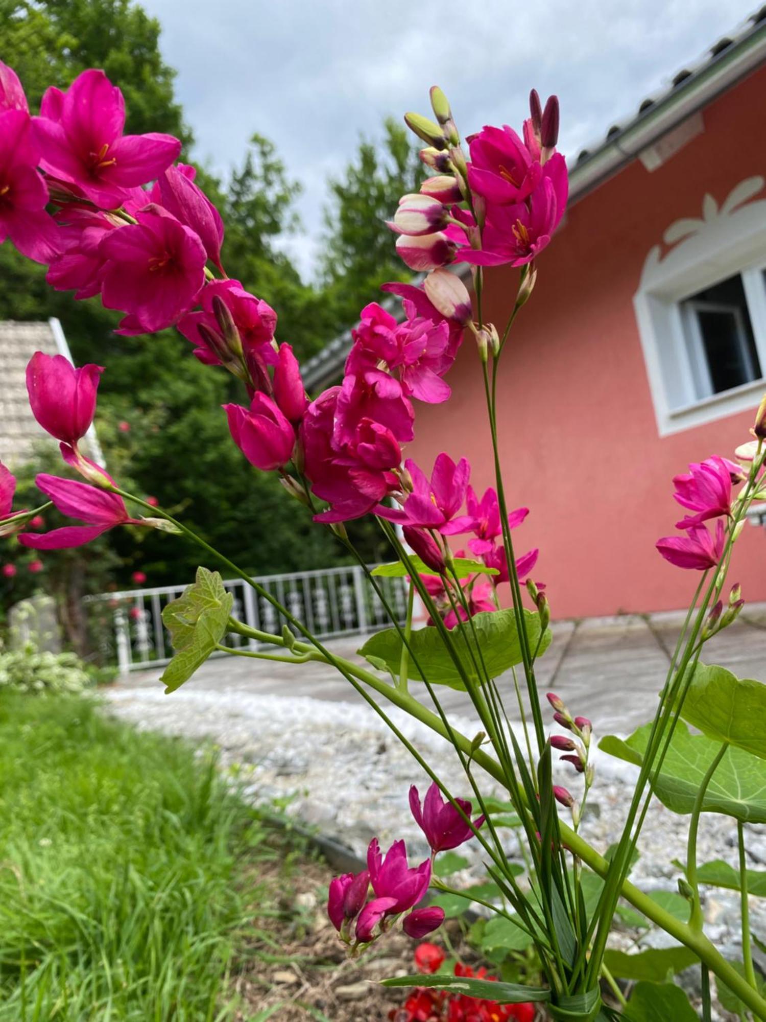 Pension Hadanig Apartment Techelsberg Bagian luar foto